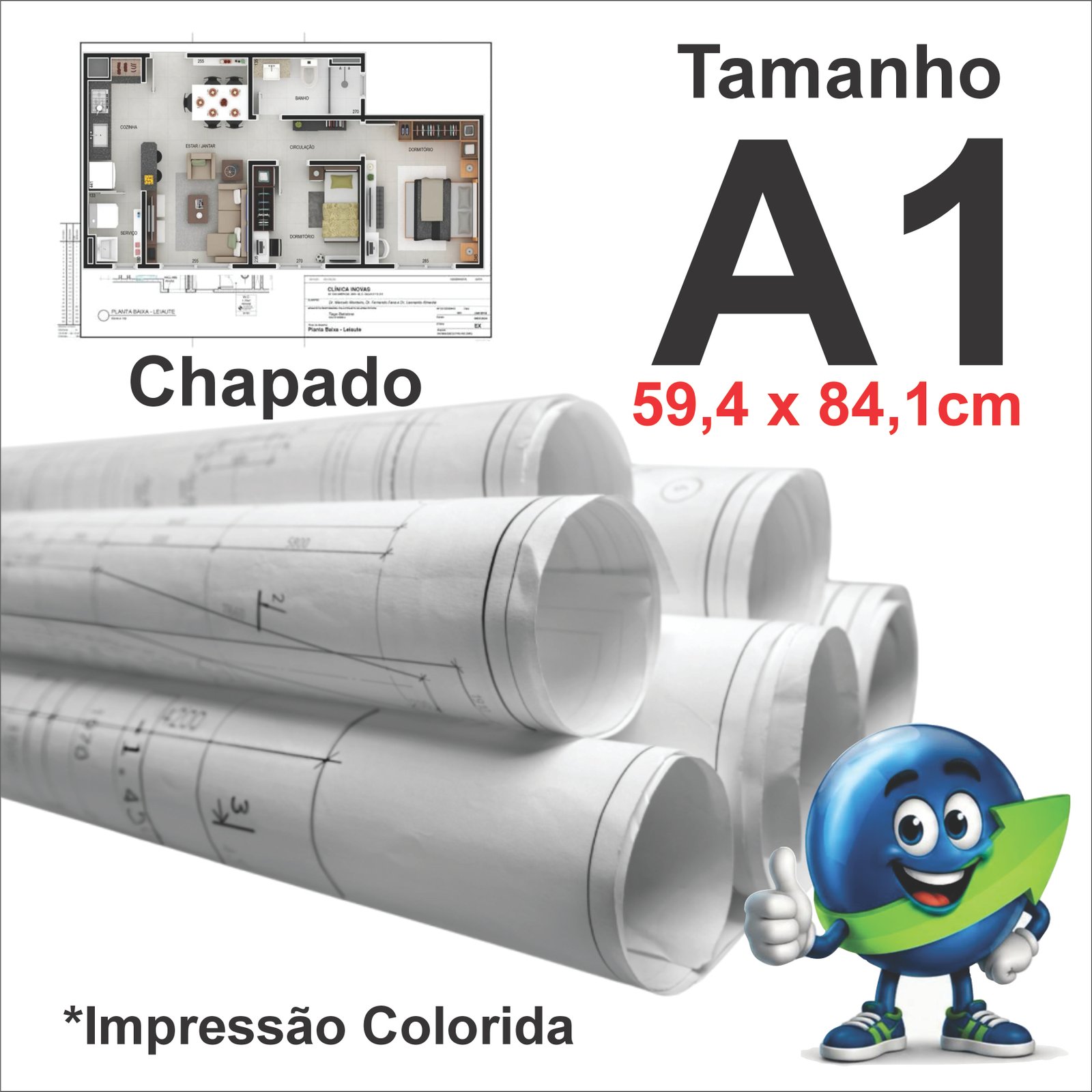 PLANTA A1 CHAPADO PRETO E COR 75G SULFITE