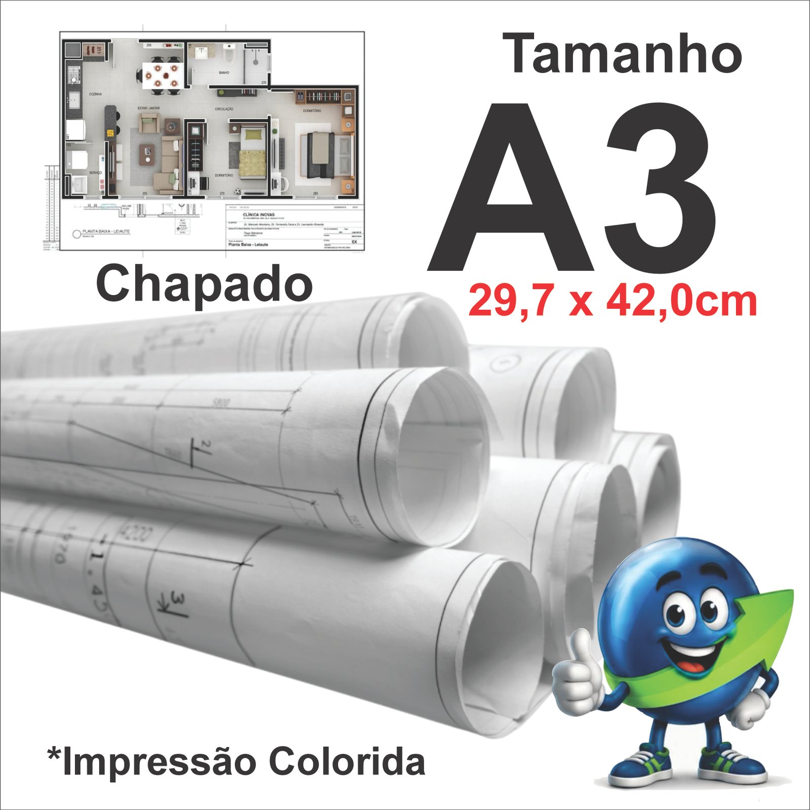 PLANTA A3 CHAPADO PRETO E COR 75G SULFITE